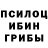 Псилоцибиновые грибы мицелий Chernay play