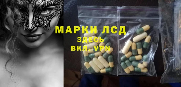 стафф Грязовец