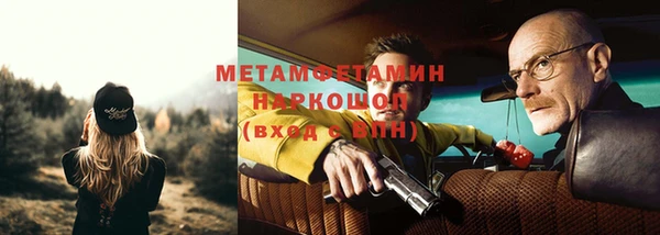 прущие грибы Пестово