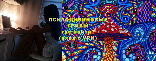 мдпв Нягань