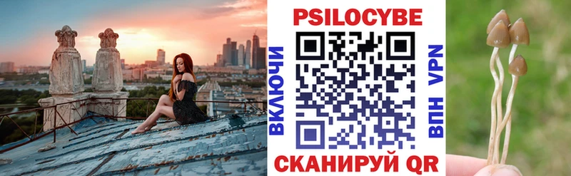 Псилоцибиновые грибы мицелий Качканар