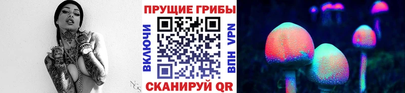Галлюциногенные грибы Psilocybine cubensis  Купить  Качканар 